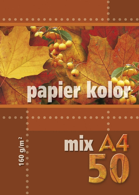 Papier ksero A4 160g 50ark. mix 5 kolorów intensywnych